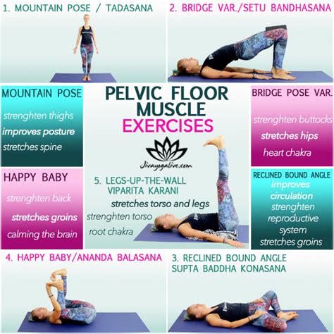 Pelvic Floor Release Guide With Exercises